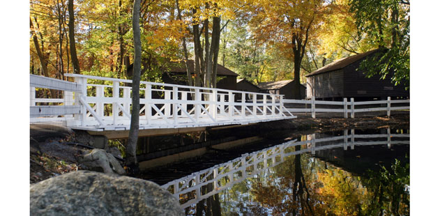 New York Day Camp